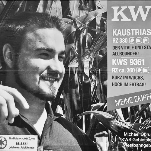 Portfolio - Werbung - Teaserbild